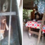 Burro va a la cárcel en Oaxaca