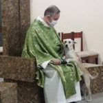 Sacerdote rescata perritos de la calle y los lleva a misa para que los adopten (Fotos)