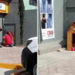 Trabajadores de Oxxo adoptan a perrito callejero y hasta le hacen su casita
