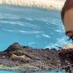 Redes sociales tunden a Lele Pons por maltrato animal a un cocodrilo